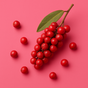 PINK PEPPER